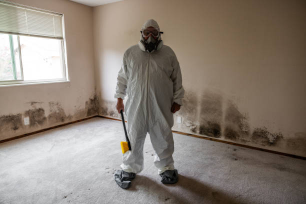 Trusted Leoti, KS Mold Removal Experts